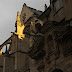 IMG_6463.JPG