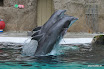 DSC_0178.JPG