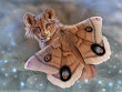 Flying Lion