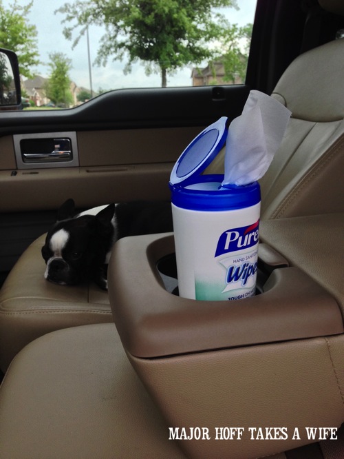 Purell wipes fit in a vehicle cup holder.jpg Purell wipes fit in a vehicle cup holder