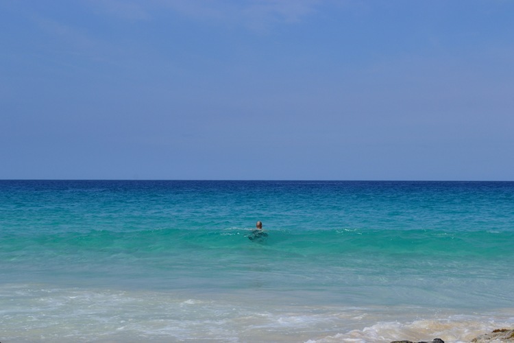 DSC_0491-1
