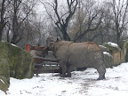 Zobacz Zoo_ferie