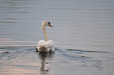 DSC_1182.JPG