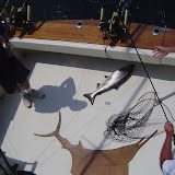 Pennsalvanyia 2005 - lake%252520ontario%252520fishing%25252012.jpg