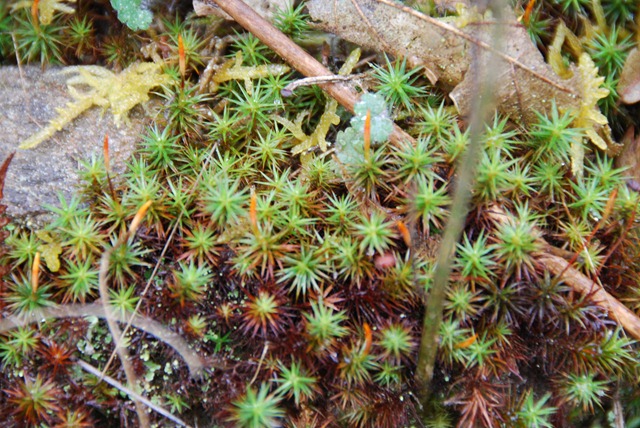 [DSC_0242%255B2%255D.jpg]