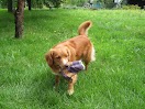 IMG_2774.JPG