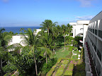DSCN7379.JPG