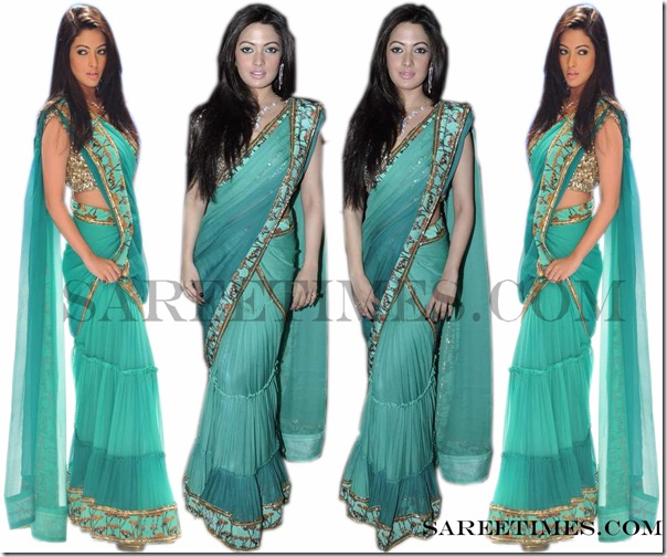 Ria_Sen_Blue_Designer_Saree
