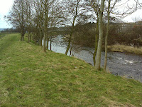 DSC00362.JPG Photo