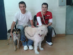 PEPE el mas Guapo de Protectora Nacional de Animales gracias por visitarnos nos dio mucho gusto que después de 2 años de adoptado sigas siendo un niño bien portado y muy querido