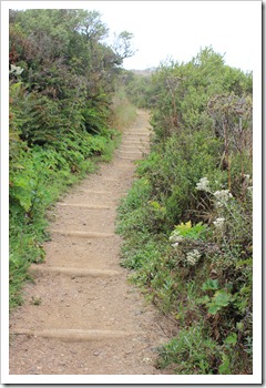 IMG_1502 IMG_1502