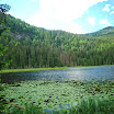 Forêt bavaroise - Lac Großer Arber