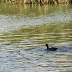 IMG_8081.JPG