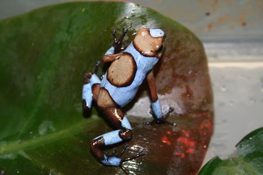 [64114_543863238968754_645711865_n%255B3%255D.jpg]