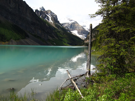  &ndash; Wild Blue, Green, Whatever Color Its Called
