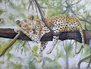 Graffiti Leopard Dreaming