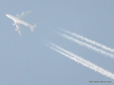 IMG_7959.JPG