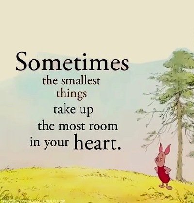 [Piglet-Quote%255B3%255D.jpg]