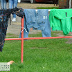 DSC_9659.JPG