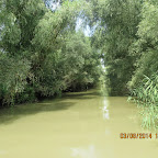 IMG_5788.JPG