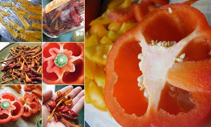 View peppers