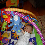 SAM_0900.JPG