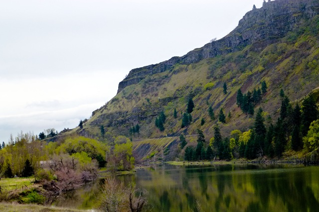 [pond2%255B3%255D.jpg]