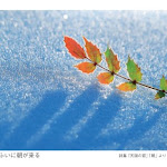20120513-19.jpg