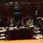 IMG_1602_1.jpg