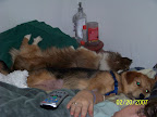 100_2261.JPG