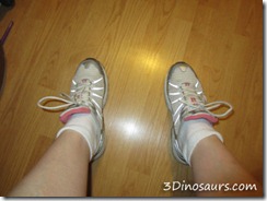 3dinosaurs-day1 3dinosaurs-day1