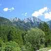197.JPG
