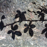 01042008036.jpg