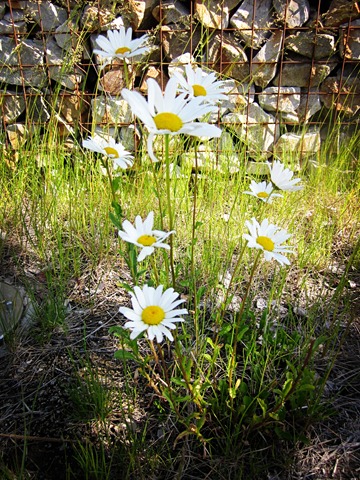 [IMG_0893%2520copy%255B4%255D.jpg]