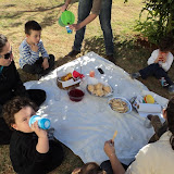 DSC00335.JPG