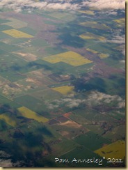 IMG_0246 IMG_0246