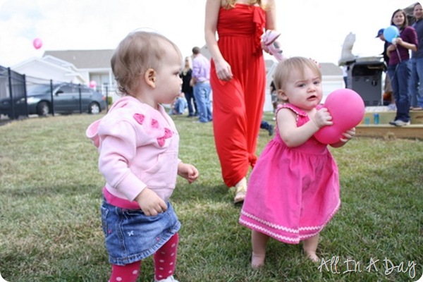IMG_6520 IMG_6520