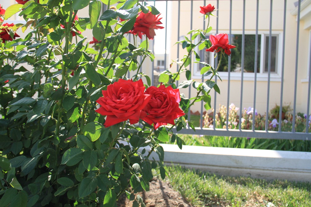 [IMG_000710.jpg]