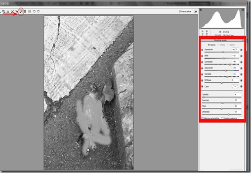 imagen 8 pincel de ajuste IIflechas recortado imagen 8 pincel de ajuste IIflechas recortado