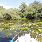 DSCN3038.JPG