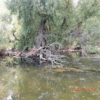 DSCN3090.JPG