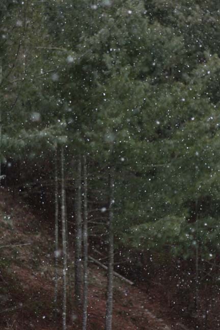 [echs%2520homecoming%25202012%2520006%255B2%255D.jpg]