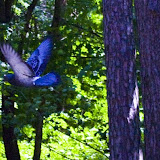 _MG_2552.jpg