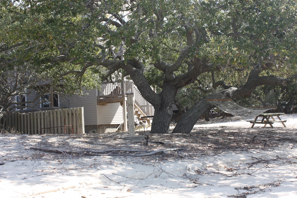 [8%2520Backyard%255B4%255D.jpg]