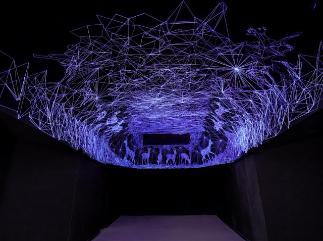 星空の部屋 | Grotte Stellaire + monogocoro