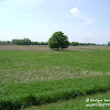 dsc06863.jpg