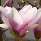 P1030444.JPG