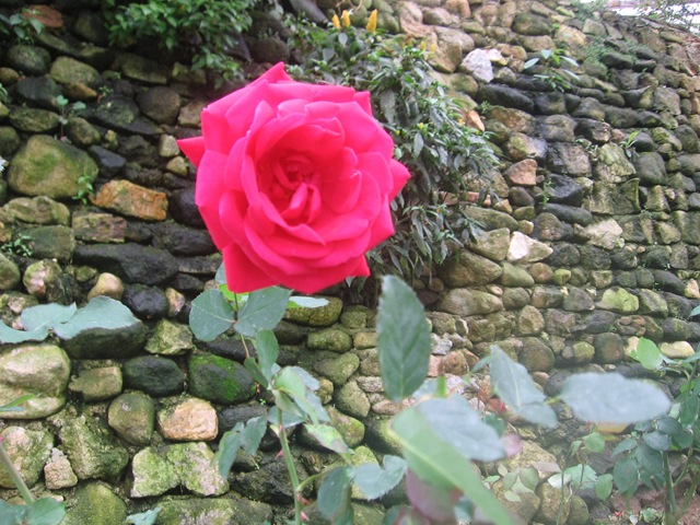 [IMG_0079%255B2%255D.jpg]