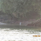 IMG_6466.JPG