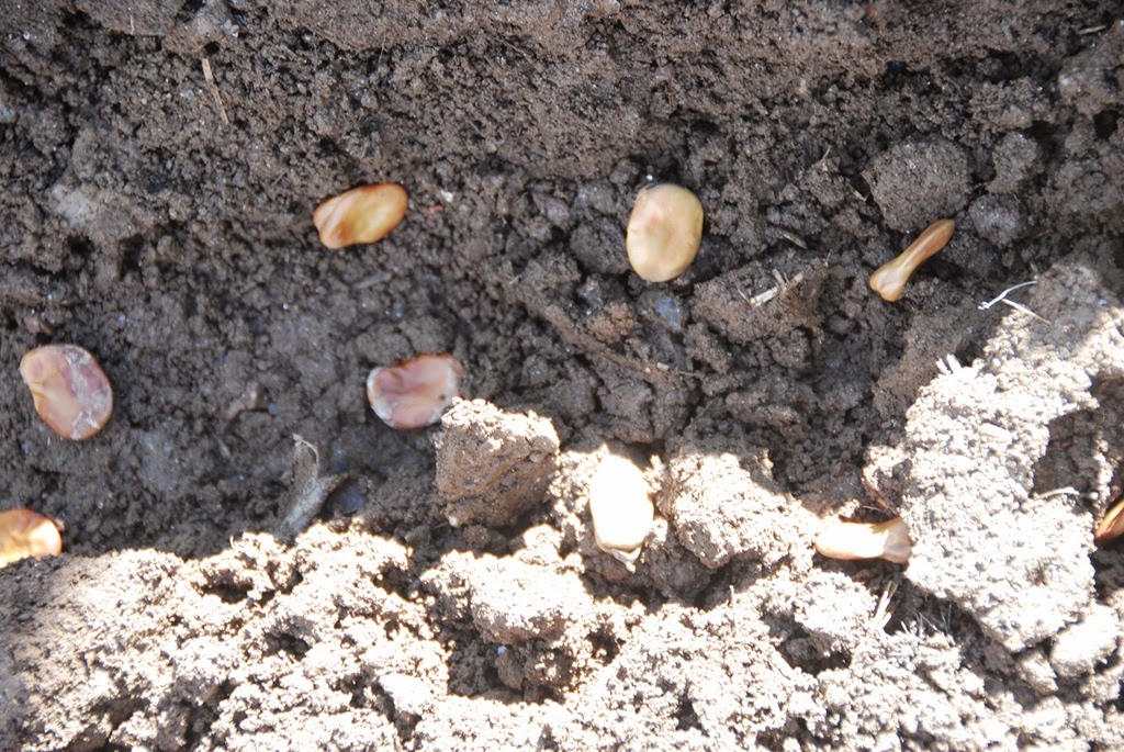 [DSC_0763%255B4%255D.jpg]